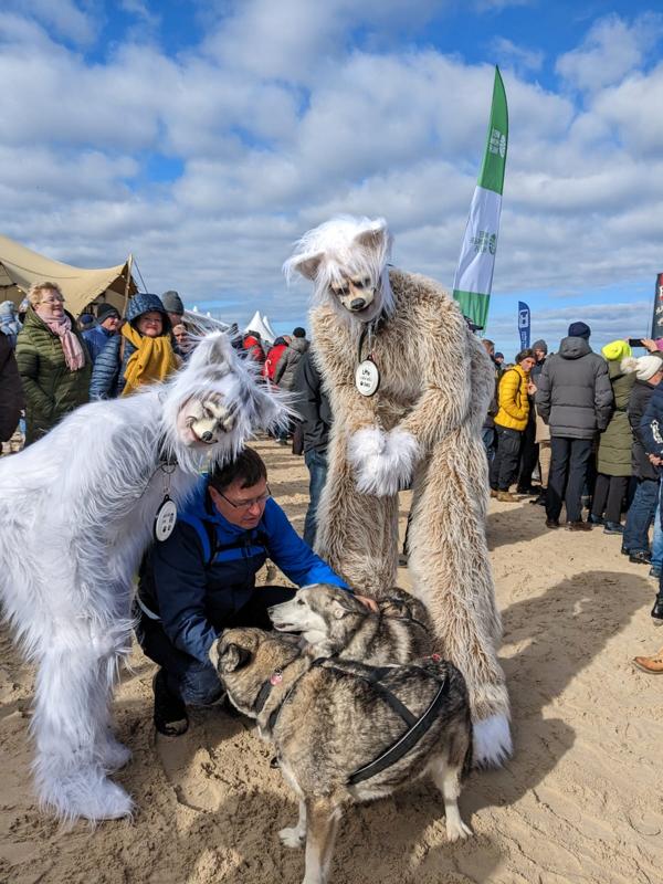 Hunde-Walkact