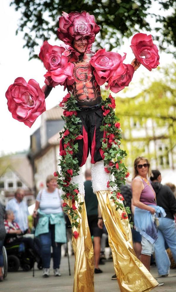 Walkact Rose in Goslar Altstadt