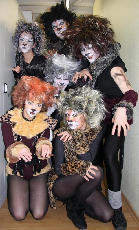 Cats918